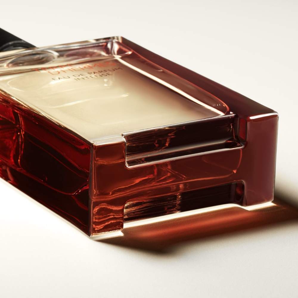 Eau de parfum 'Terre dHermès Intense' - 100 ml