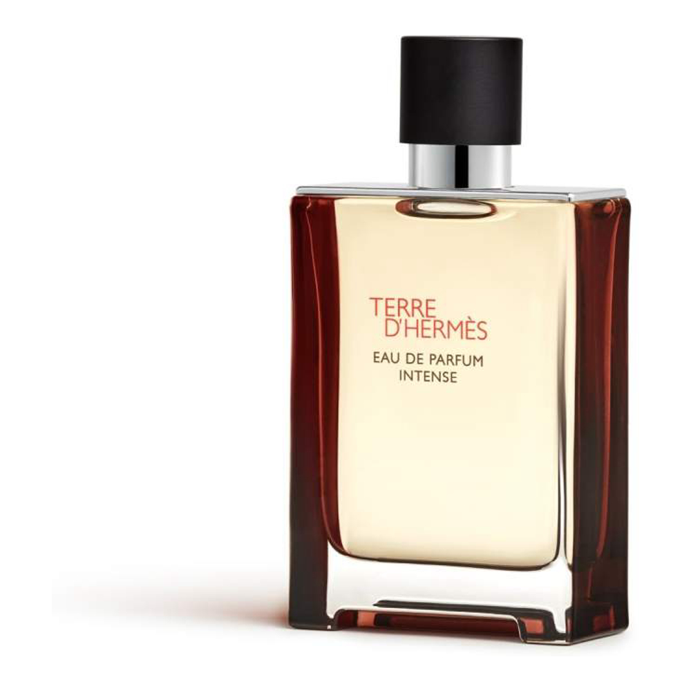Eau de parfum 'Terre dHermès Intense' - 100 ml
