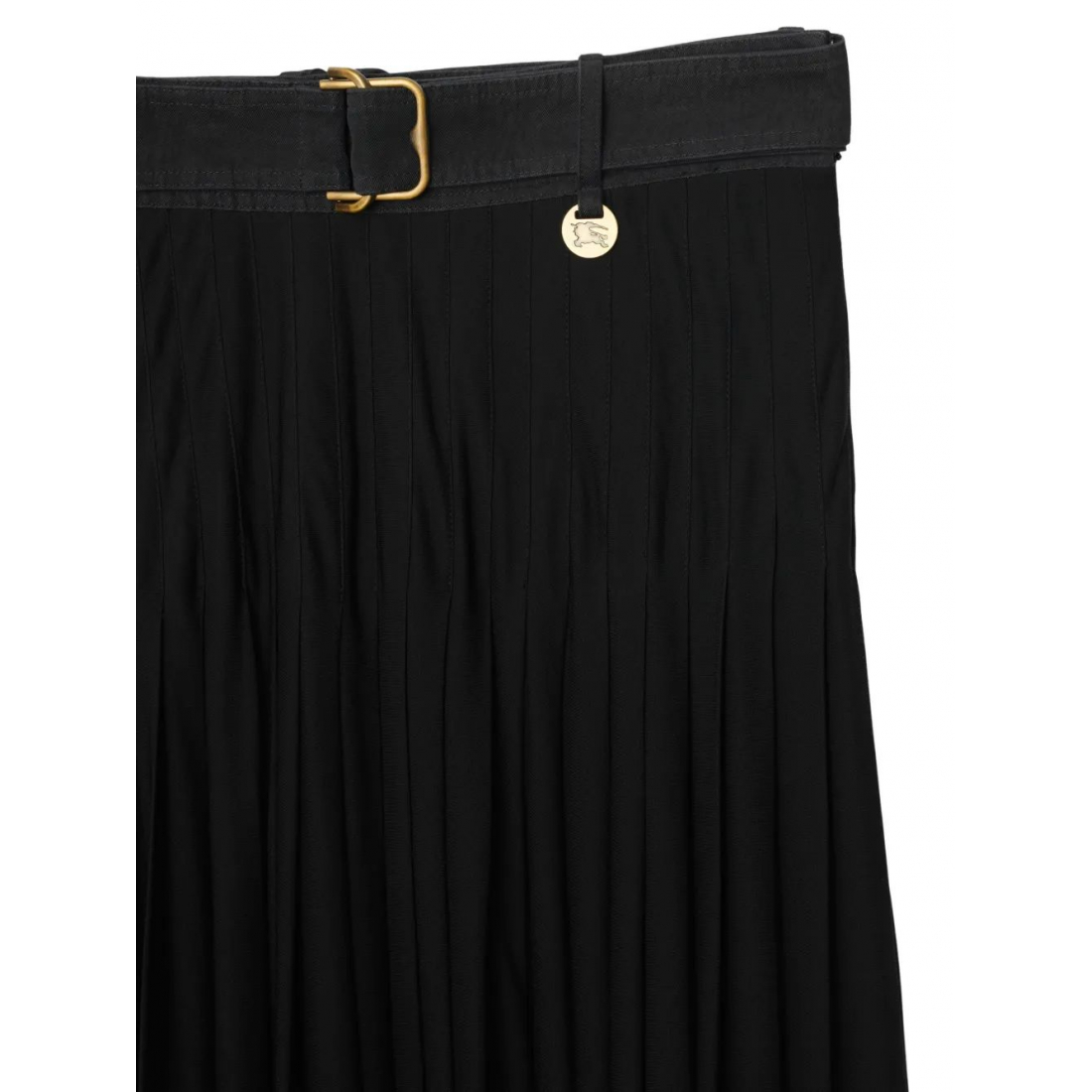Women's 'Pleated' Maxi Skirt
