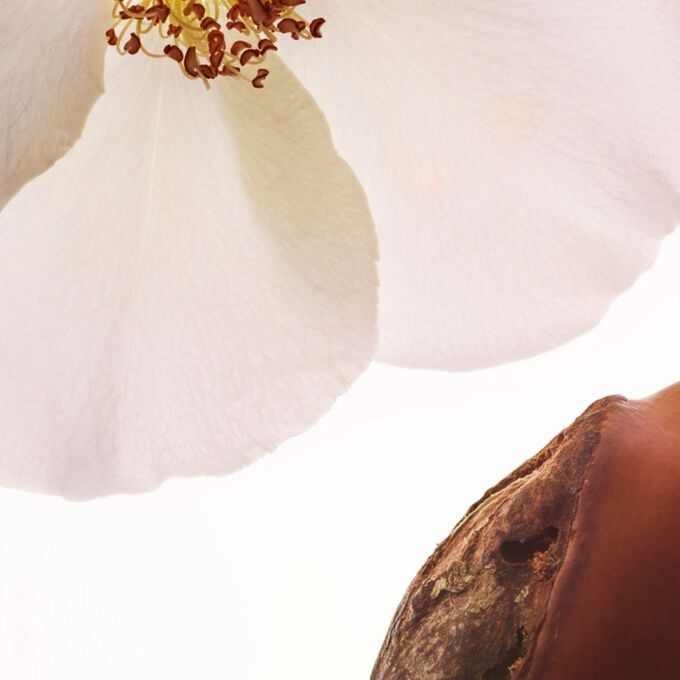 'Joli Rouge Velvet' Lippenstift Nachfüllpackung - 742V Joli Rouge 3.5 g