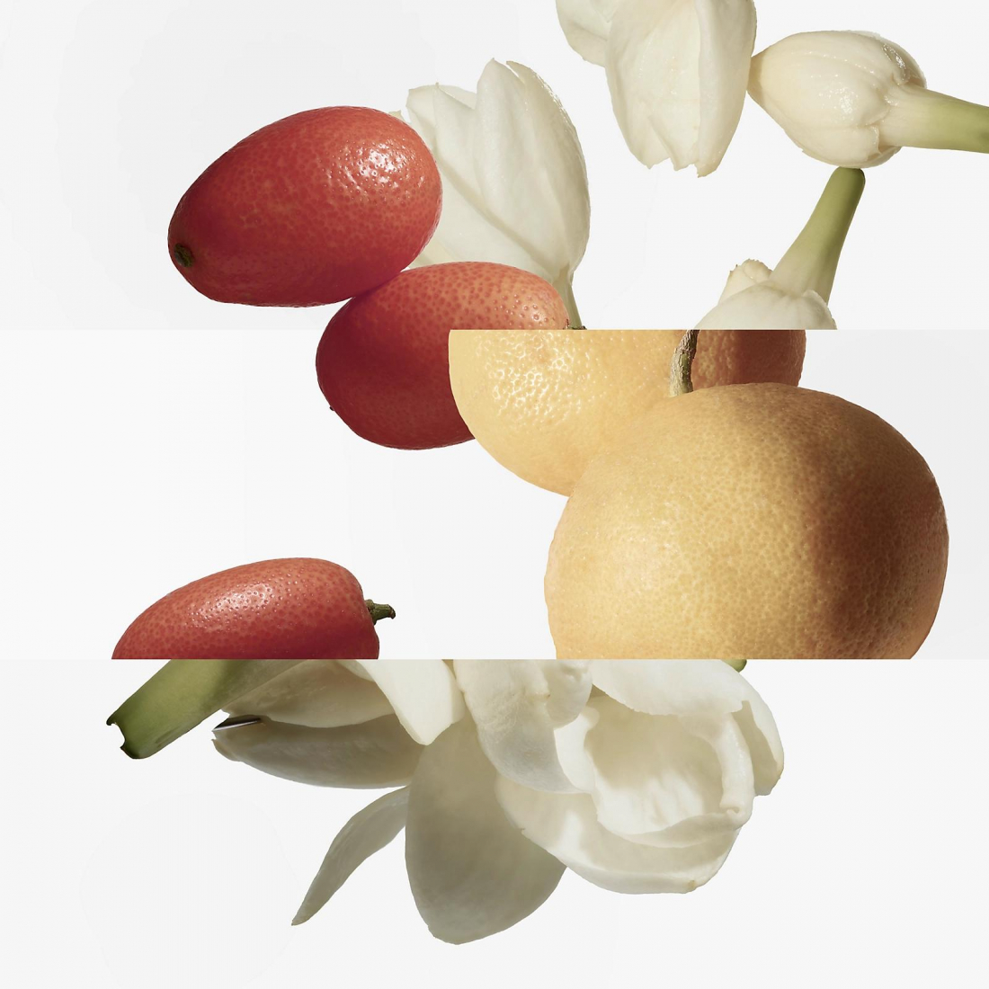 Eau de toilette - Recharge 'Le Jardin de Monsieur Li' - 200 ml