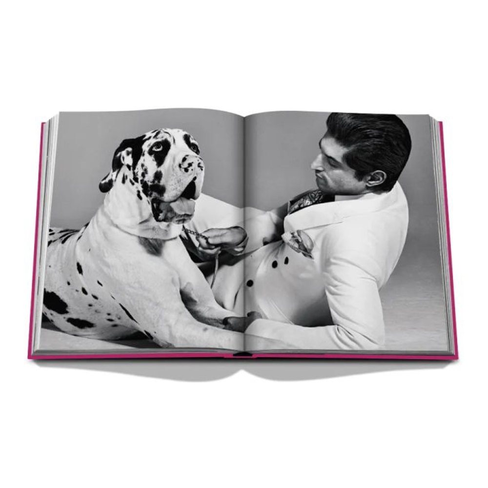 'Chic Dogs By Robert Williams' Buch