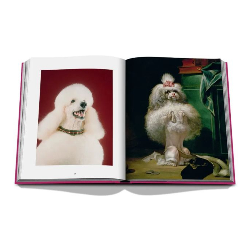 'Chic Dogs By Robert Williams' Buch
