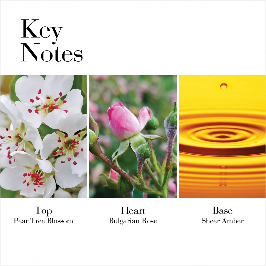 'White Tea Wild Rose' Eau de toilette - 100 ml