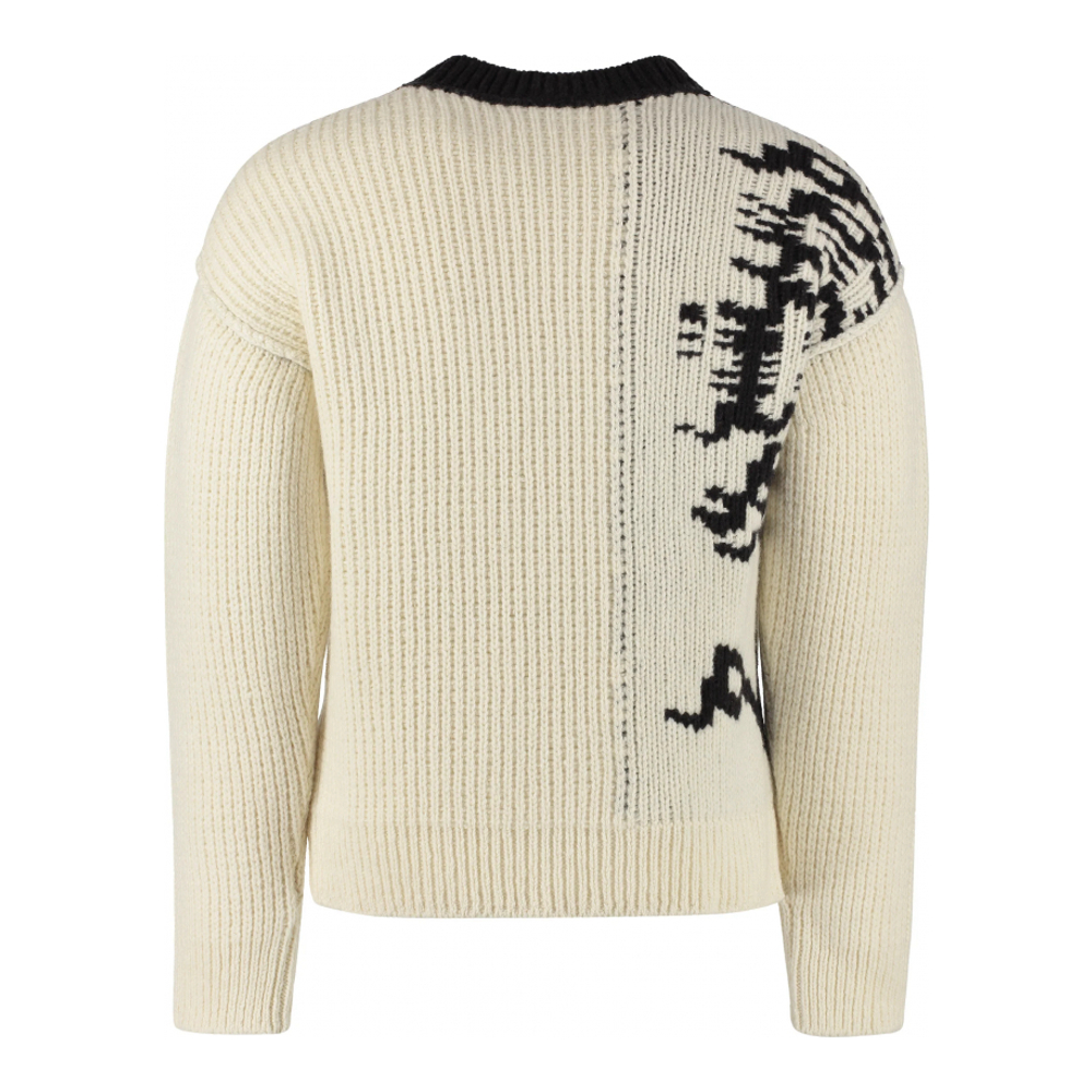 Pullover für Herren