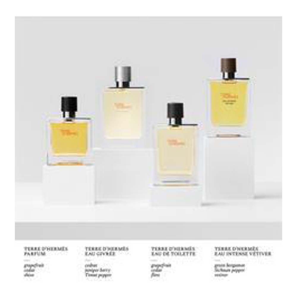 Eau de toilette 'Terre D'Hermès' - 15 ml