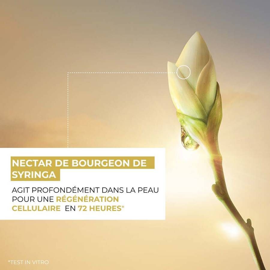 Le Concentré Bi-Phase Récupérateur de Nuit' - 30 ml