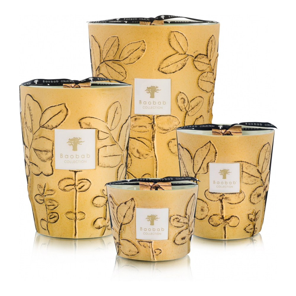 Bougie parfumée 'Folia Garrigue Max 10' - 1.3 Kg