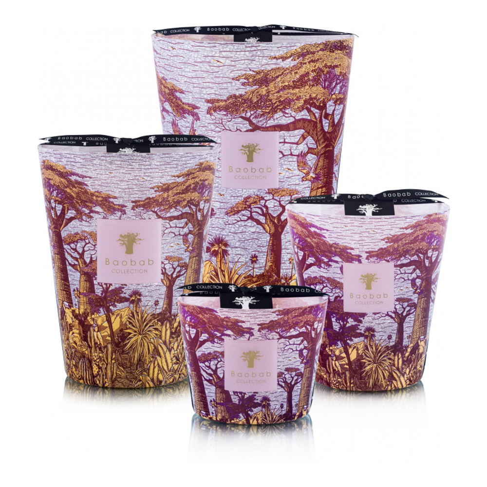 Bougie parfumée 'Sacred Trees Summer Massasso Max 16' - 2.3 Kg