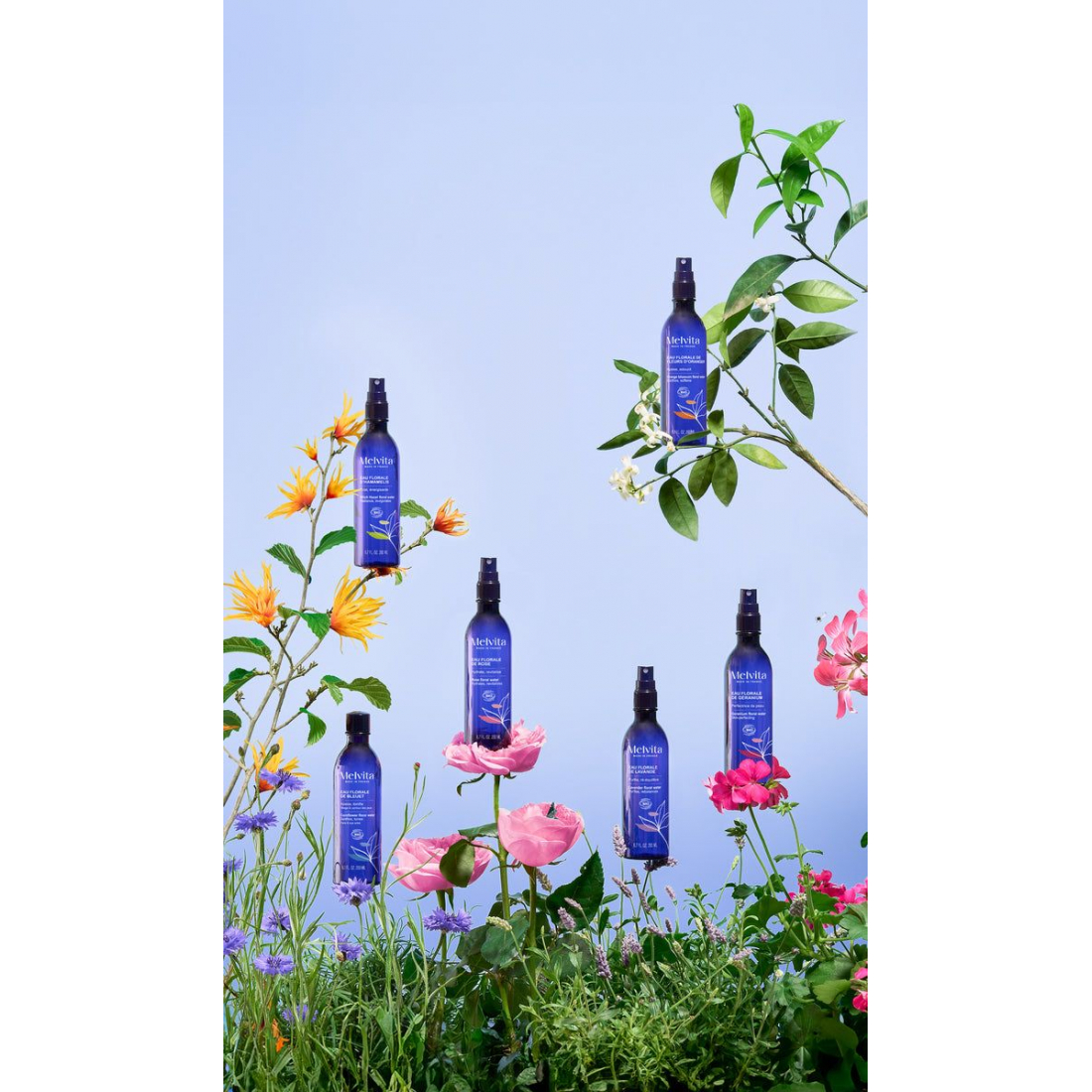 'Eau Florale Bleuet' Care Water - 200 ml