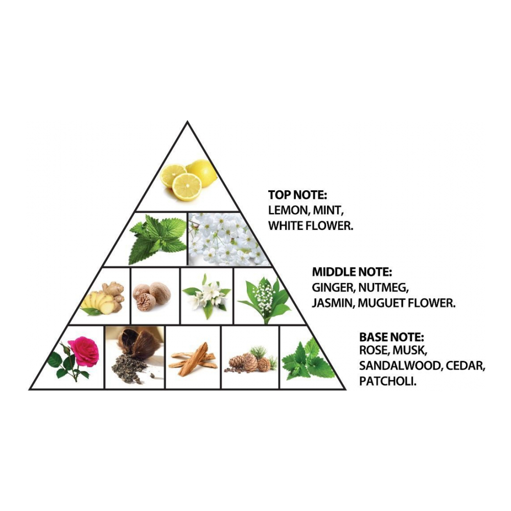 Eau de parfum 'Musk Collection' - 100 ml