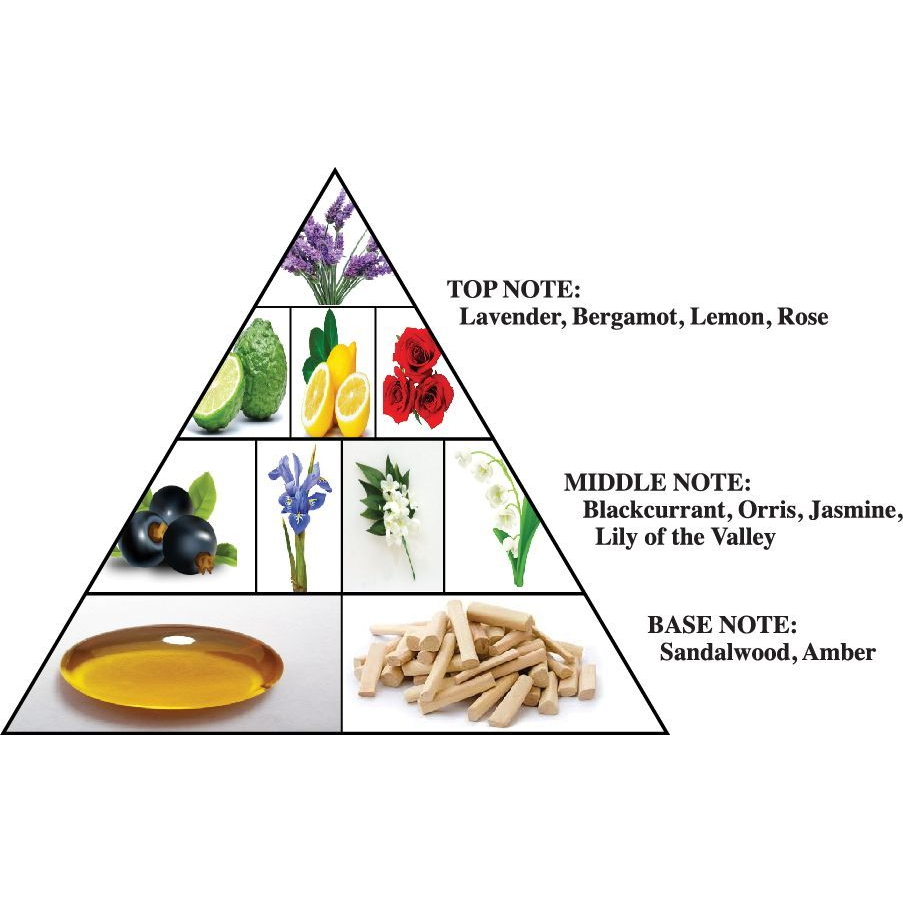 'Dazzle' Eau De Parfum - 100 ml