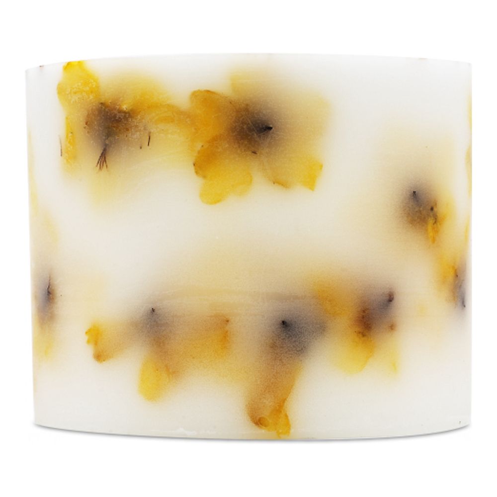 'Botanical Grande' Kerze - Miss Sunshine 1600 g