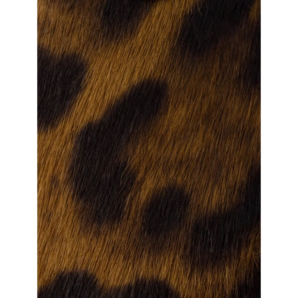 Ballerines pour Femmes