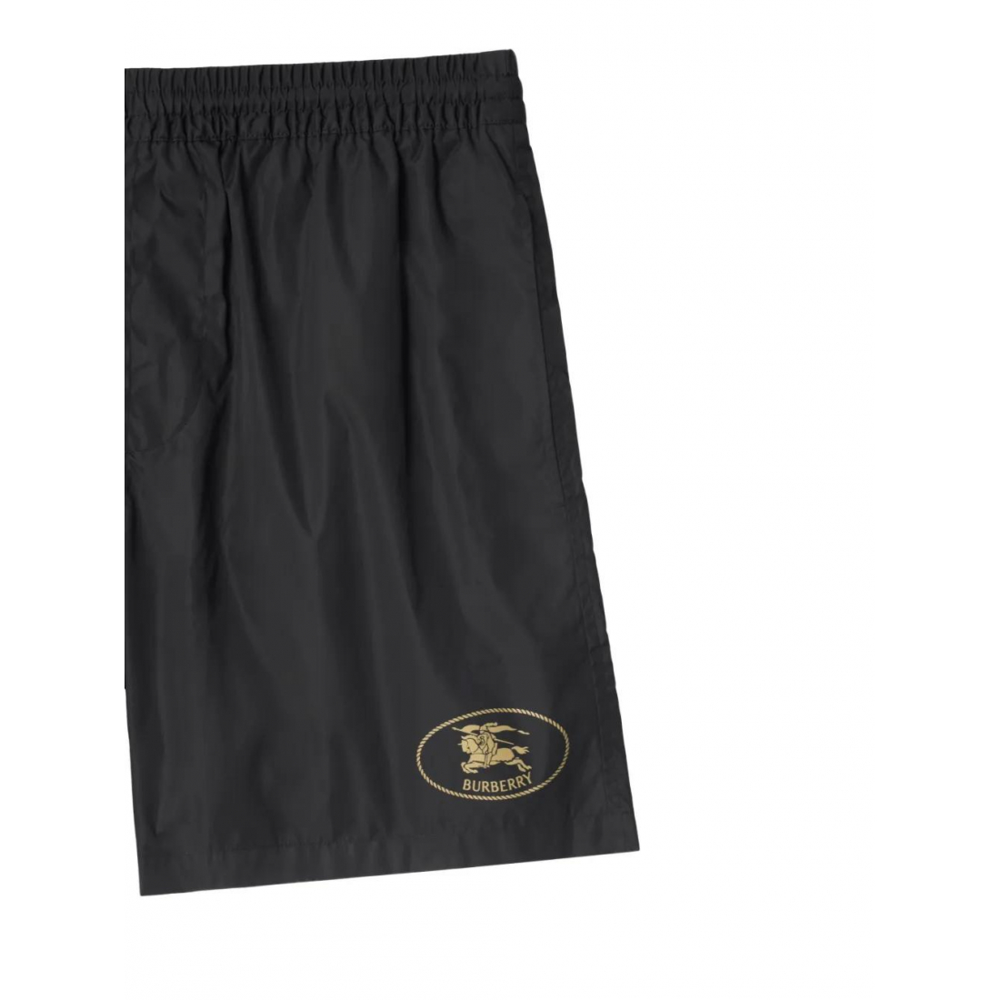 Men's 'Knight Stamp' Swimming Shorts