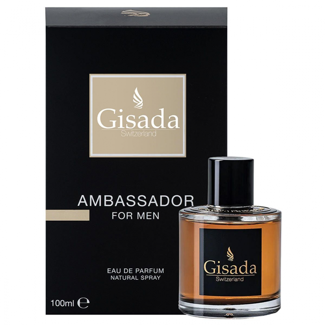 Eau de parfum 'Ambassador Men' - 100 ml