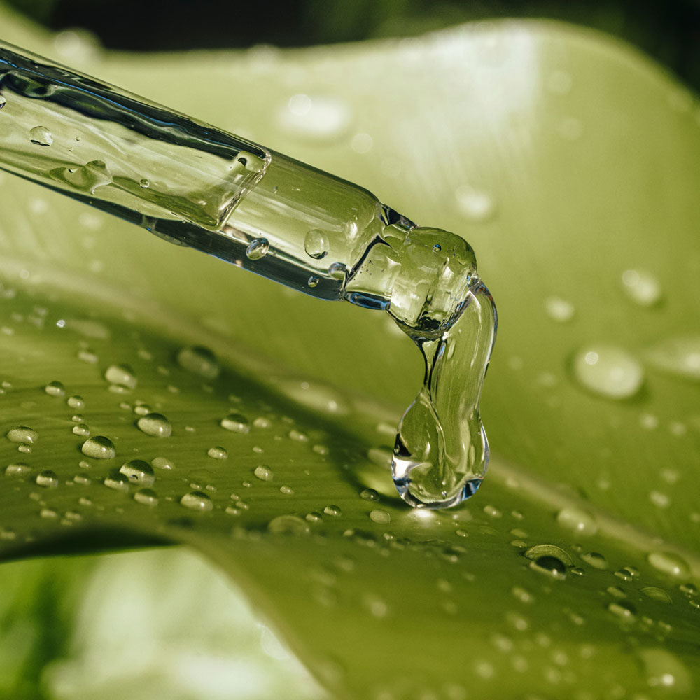 Huile essentielle 'Palmarosa Essential Organic' - 15 ml