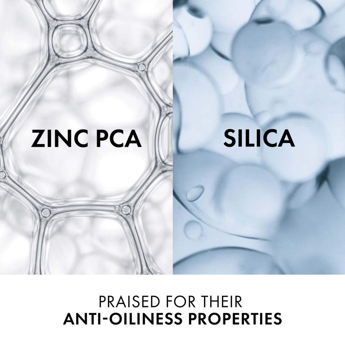 Dercos Shampooing Sébo-correcteur cheveux gras