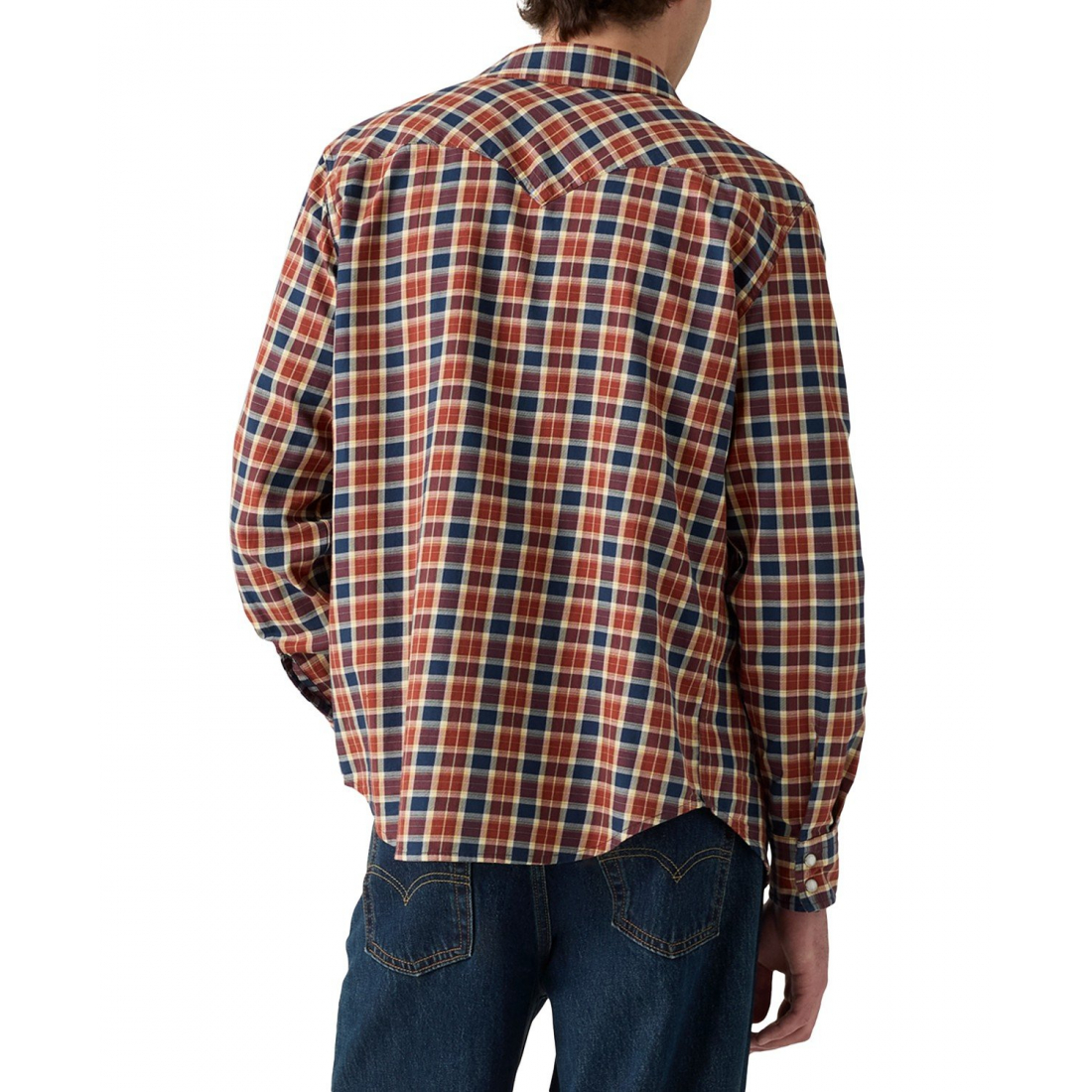 Chemise 'Classic Standard Fit Western' pour Hommes