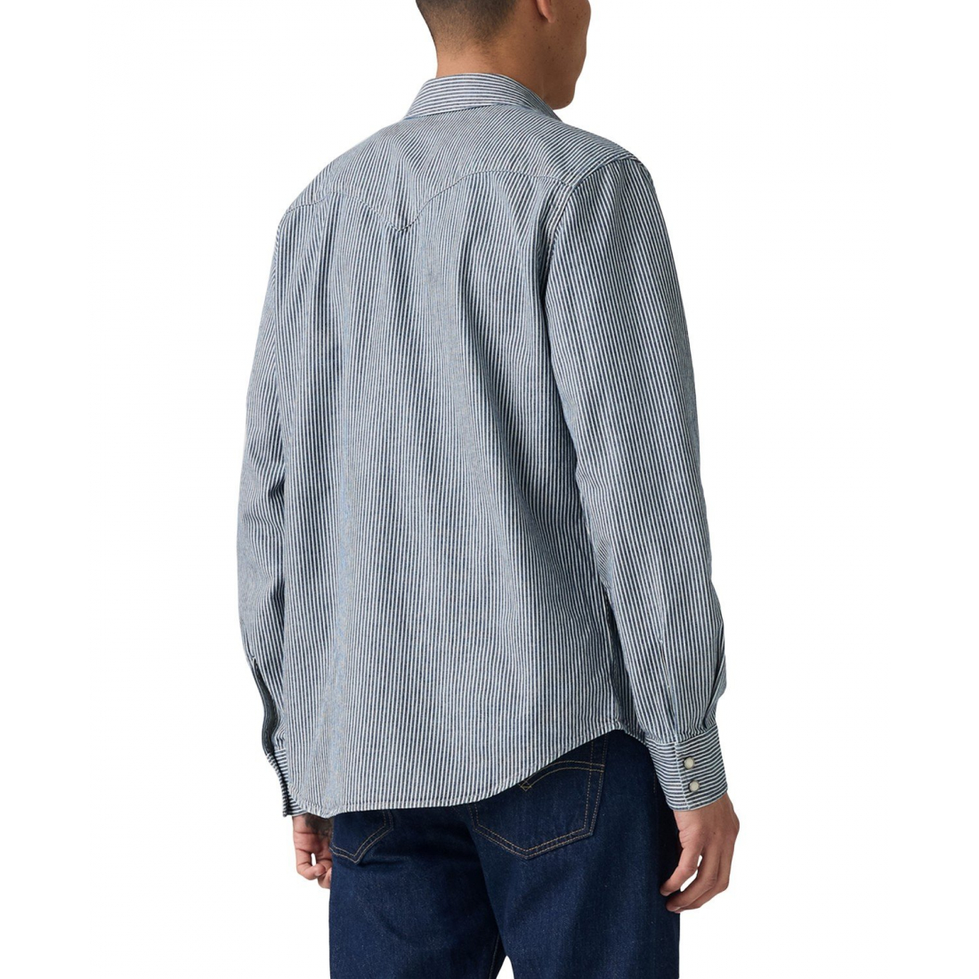 Chemise 'Classic Standard Fit Western' pour Hommes