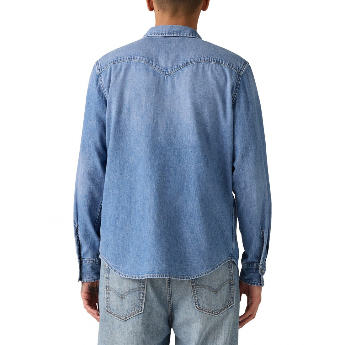 Chemise 'Classic Standard Fit Western' pour Hommes