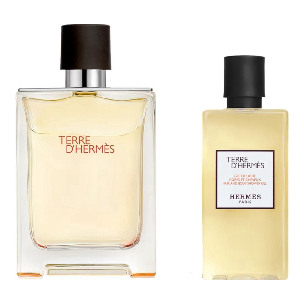 'Terre d'Hermès' Perfume Set - 2 Pieces