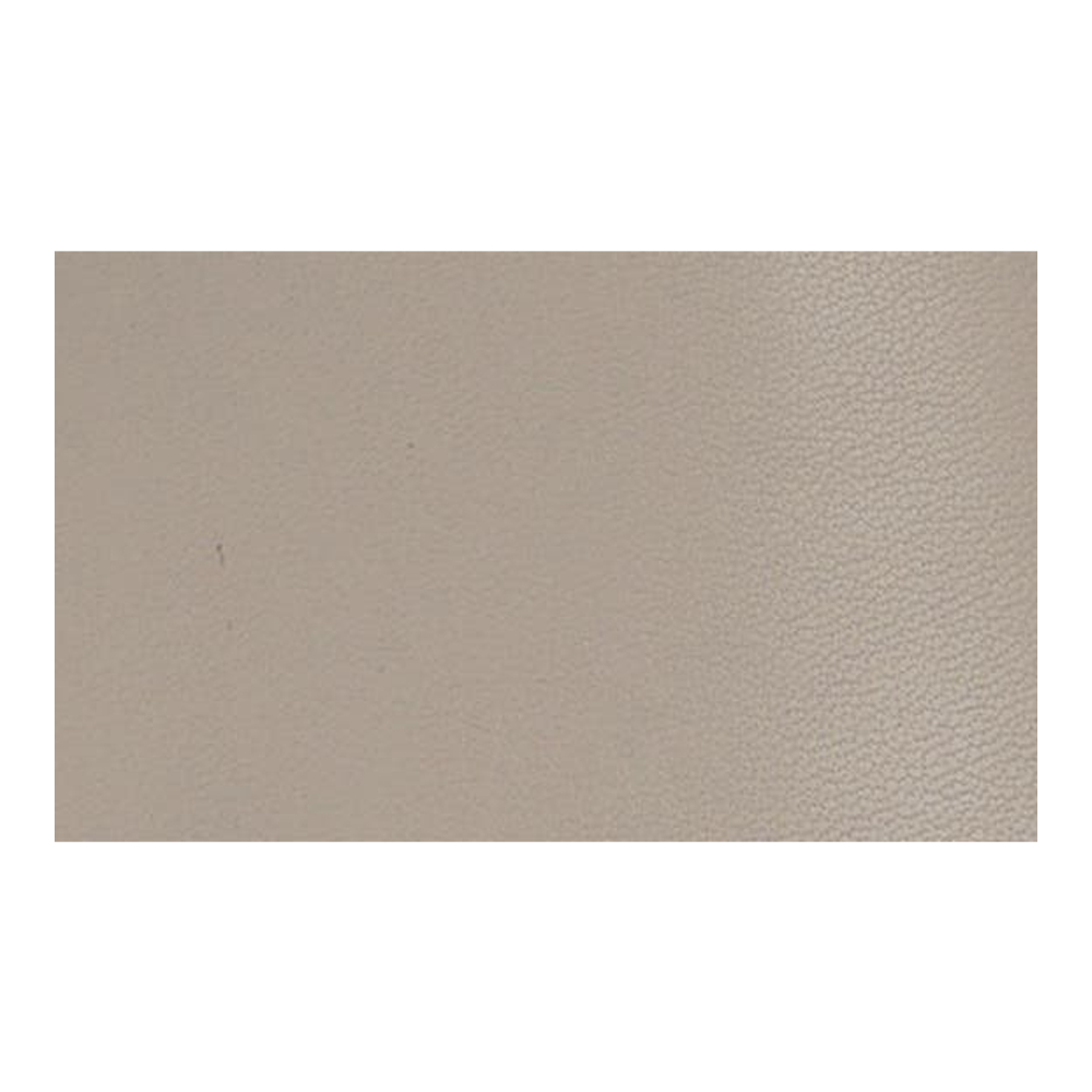 Bottines 'Gentley Pointed Cap Toe' pour Femmes