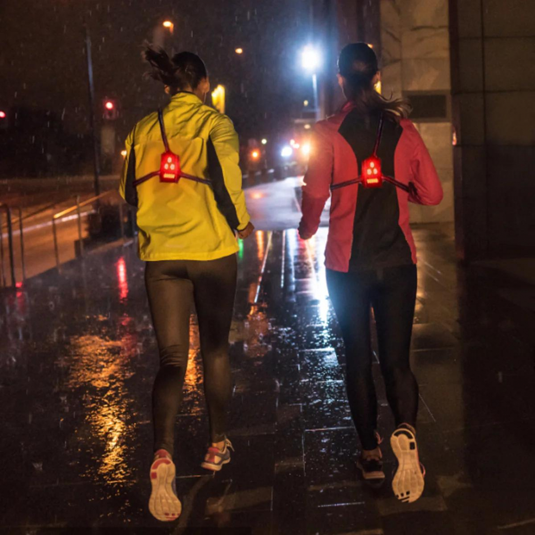 'Safelt Sport With LED Lights' Harness