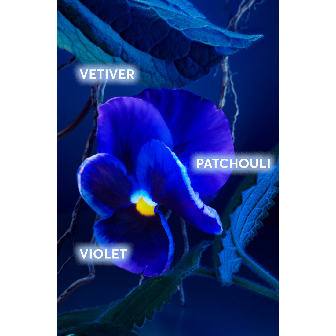 Eau de parfum 'Boss Bottled Triumph Elixir' - 100 ml