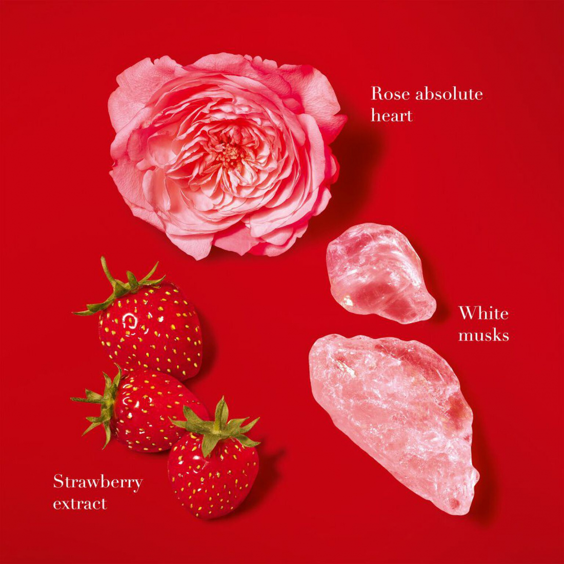 Eau de parfum 'Sì Passione Red Musk' - 30 ml