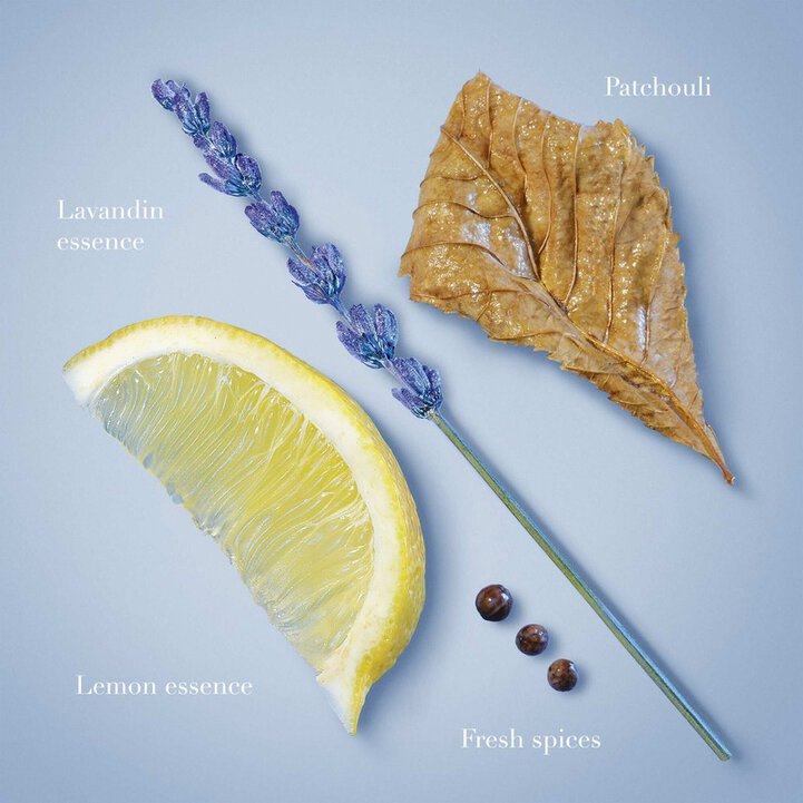 Eau de toilette 'Acqua di Giò Profondo' - 50 ml