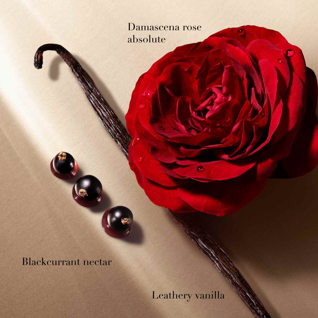 Parfum 'Sì' - 100 ml