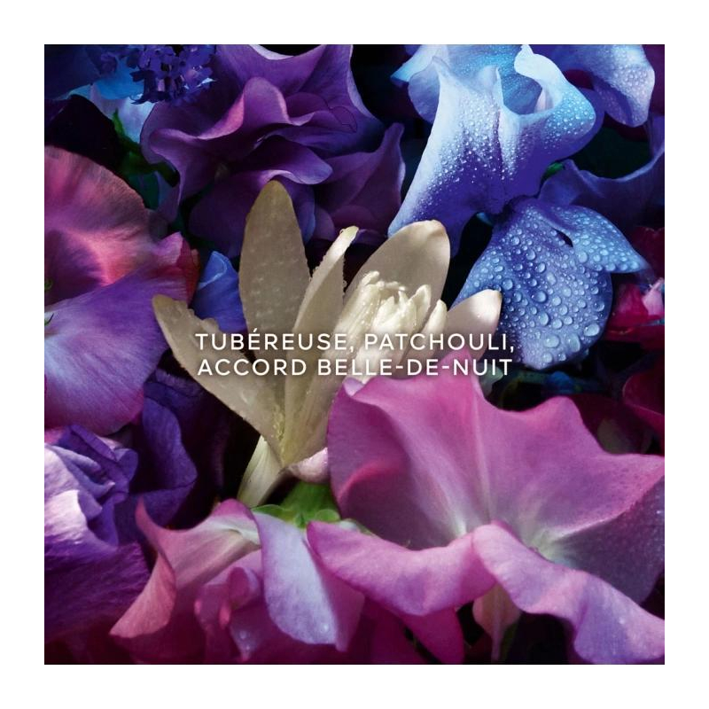 Eau de parfum 'Absolute Allegoria Florabloom' - 75 ml