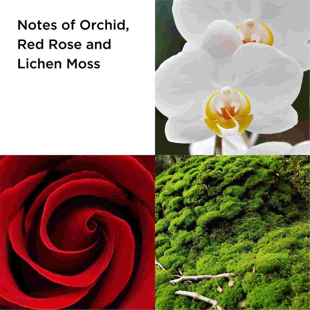 'Red Door Revealed' Eau De Parfum - 100 ml