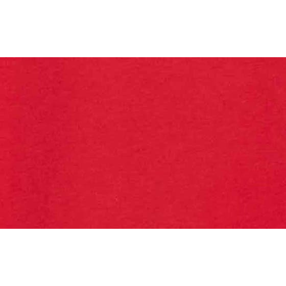 T-shirt 'Double Standard Logo Graphic' pour Hommes