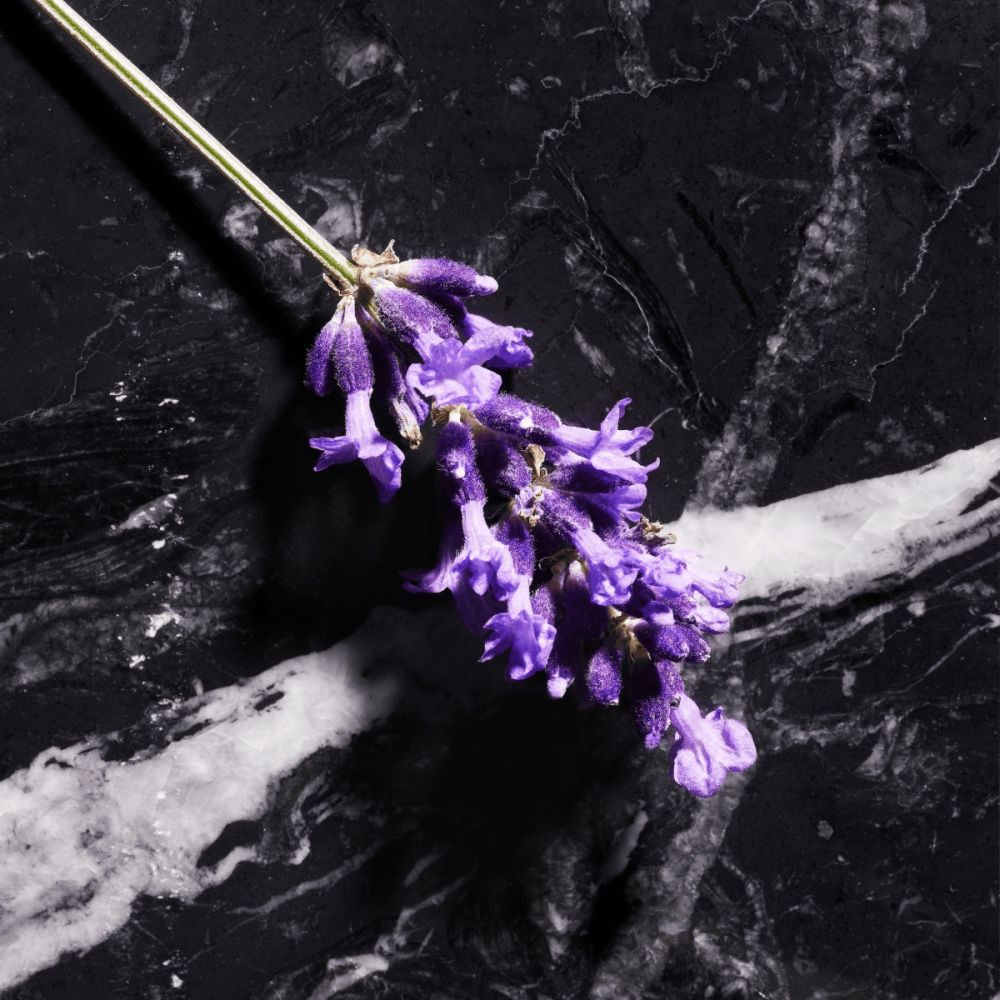 'Homme' Perfume - 125 ml