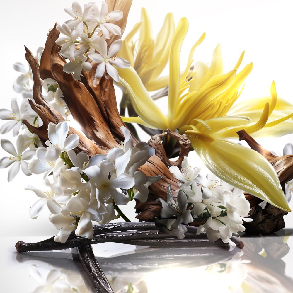 Eau de Parfum - Recharge 'Angel Elixir' - 100 ml