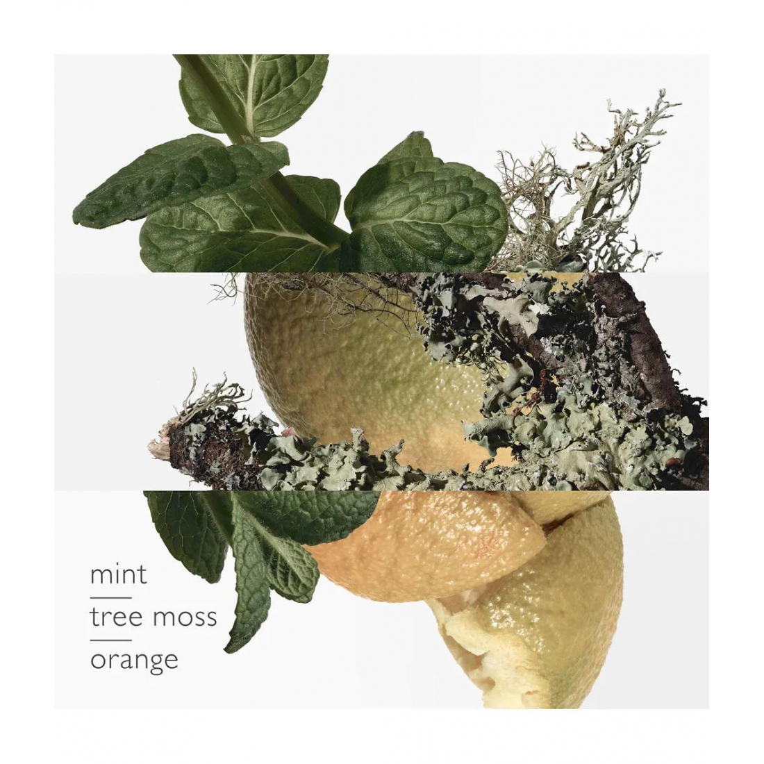 Eau de Cologne - Rechargeable 'Eau d'Orange Verte' - 50 ml