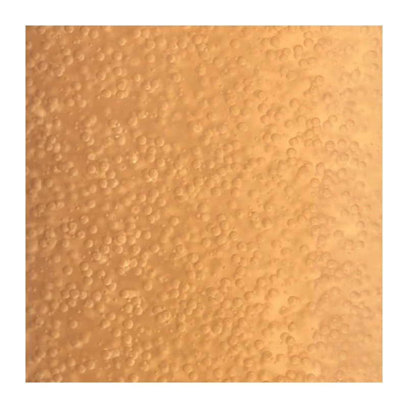 Tonique visage 'Suprême Absolu Micro-Pearl Youth' - 100 ml