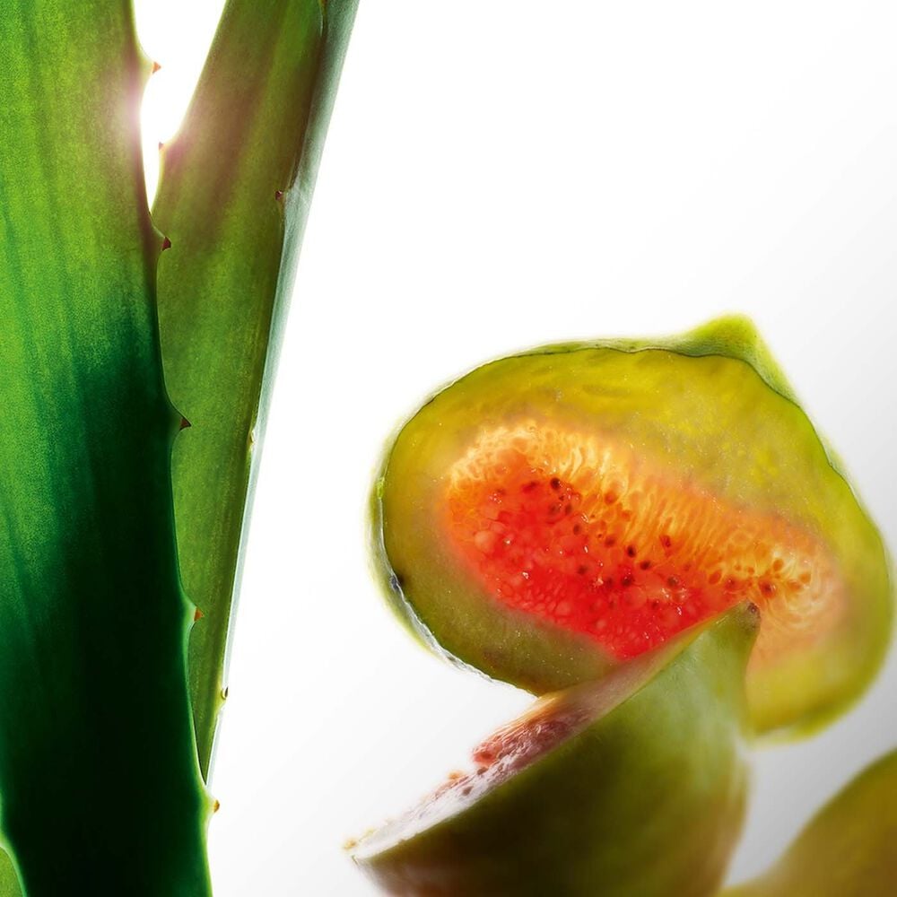 'Hydratante' Tonisierende Lotion - 200 ml