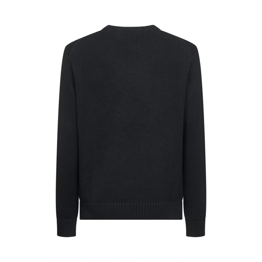 Pull 'Polo Bear-Embroidered' pour Hommes