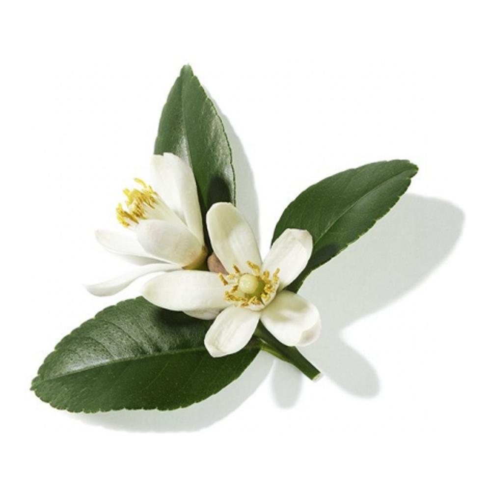 Eau de parfum 'Poême' - 100 ml