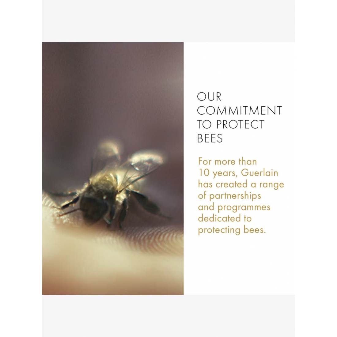 Huile Lavante 'Abeille Royale Anti-Pollution' - 150 ml