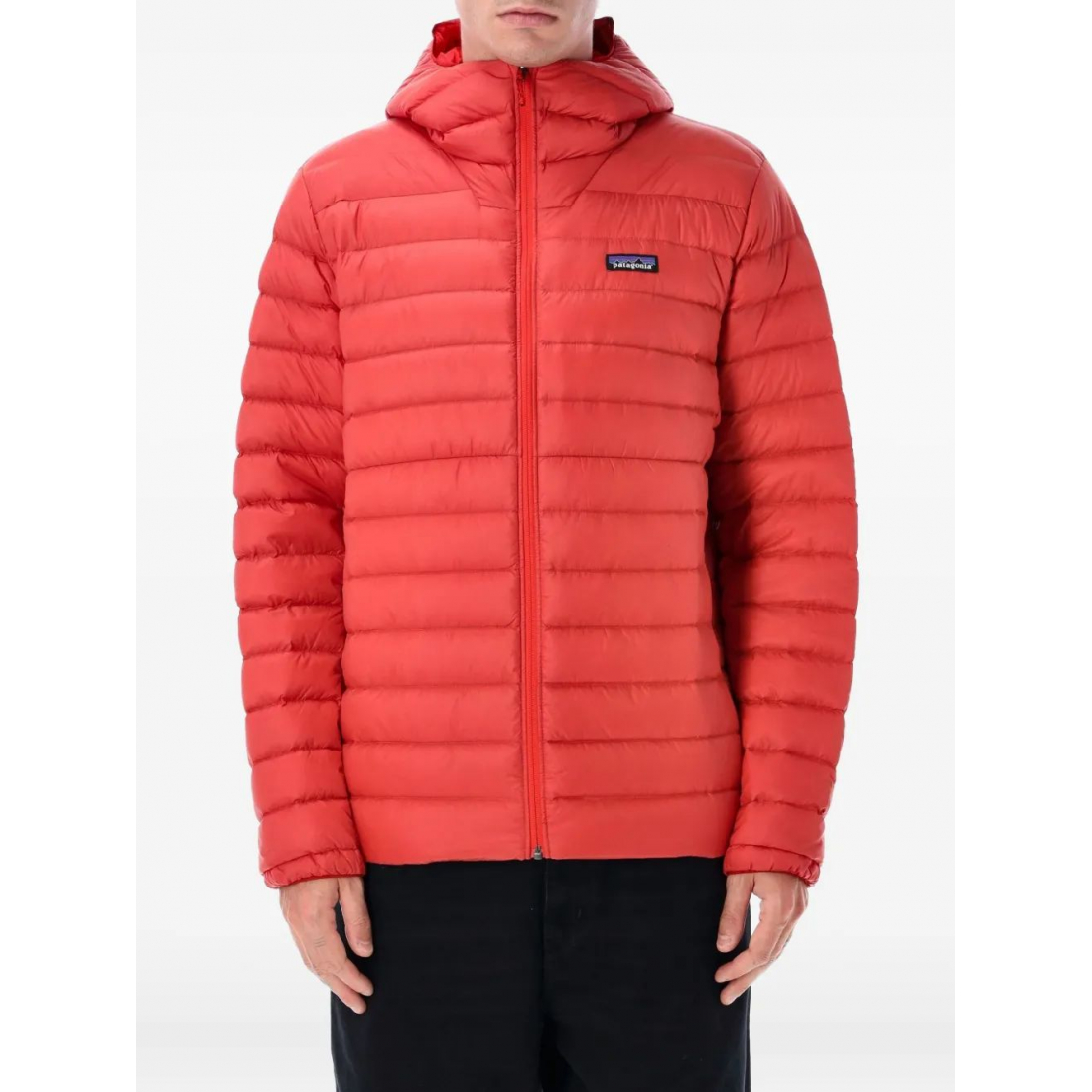 Veste 'Downsweater' pour Hommes