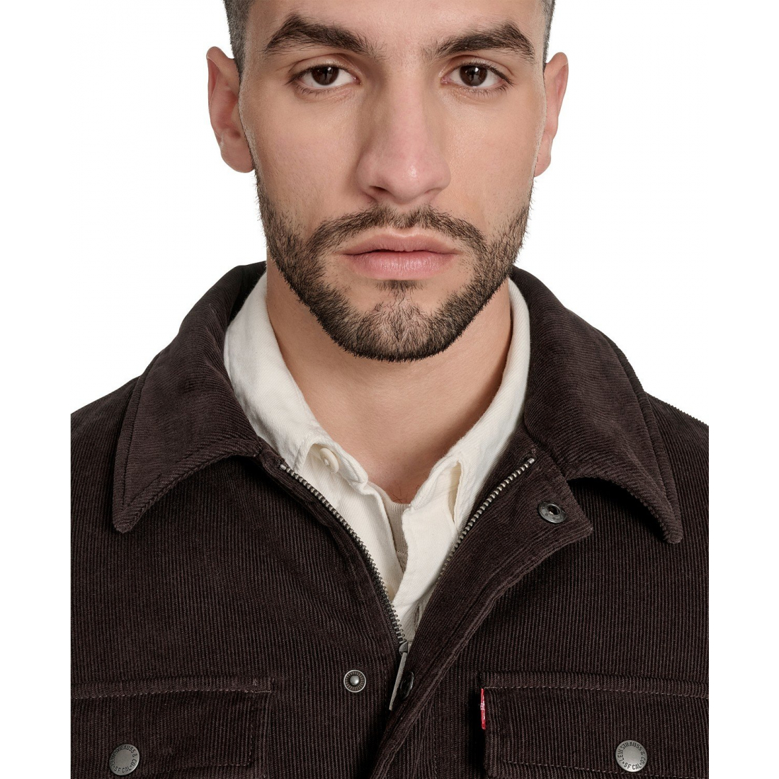 Veste 'Plaid Lining' pour Hommes