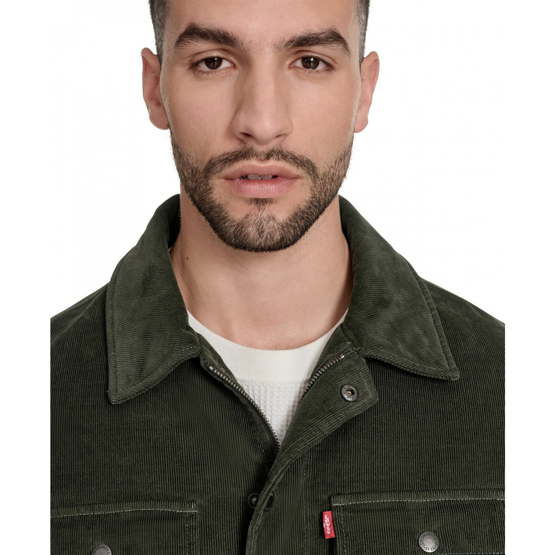 Veste 'Plaid Lining' pour Hommes