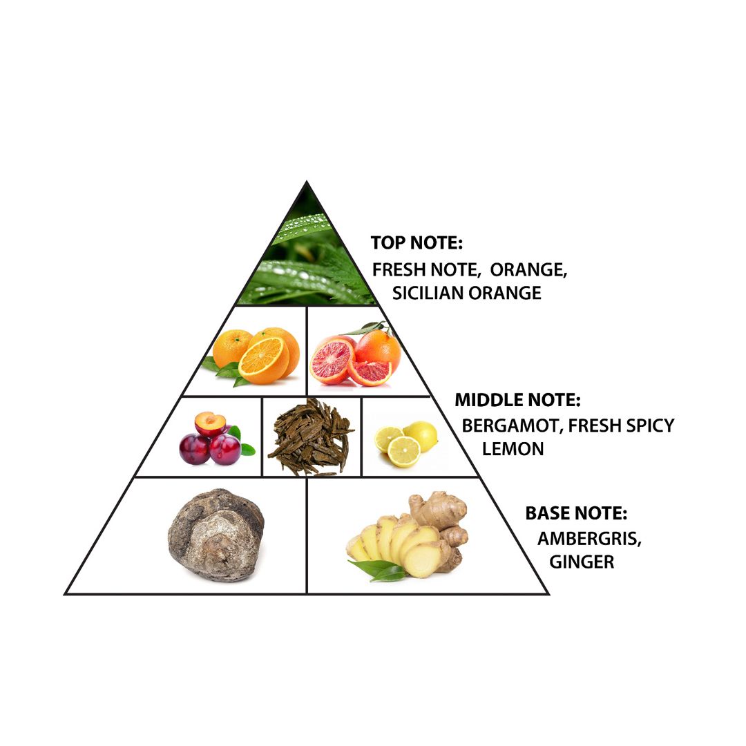 'Belle Swim' Eau De Parfum - 75 ml