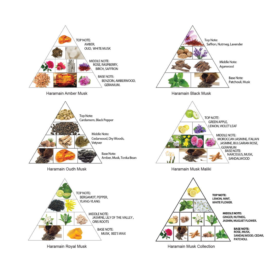 Coffret de parfum 'Discovery Collection Musk Series' - 10 ml, 6 Pièces