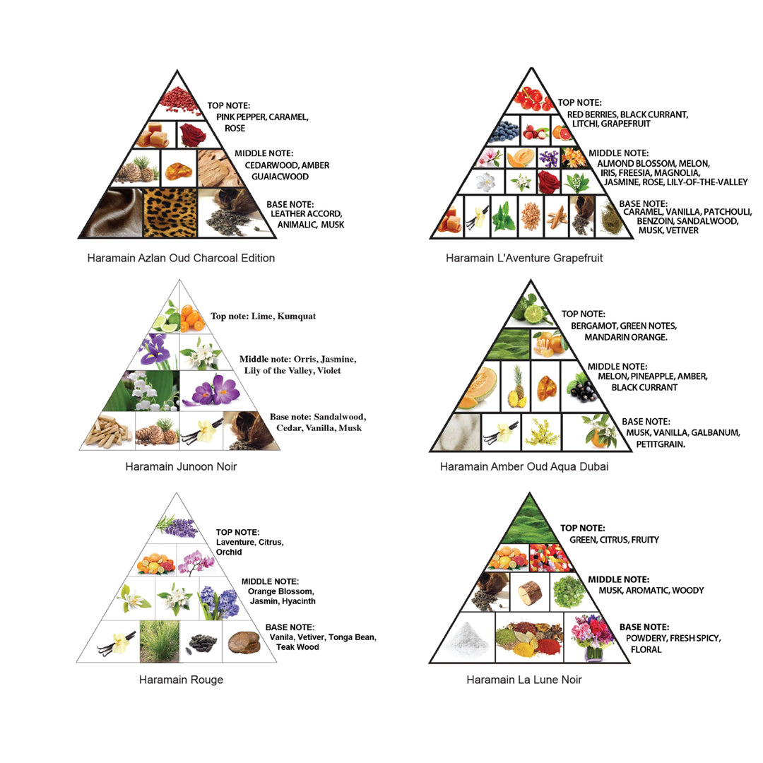 Coffret de parfum 'Discovery Collection Special' - 10 ml, 6 Pièces