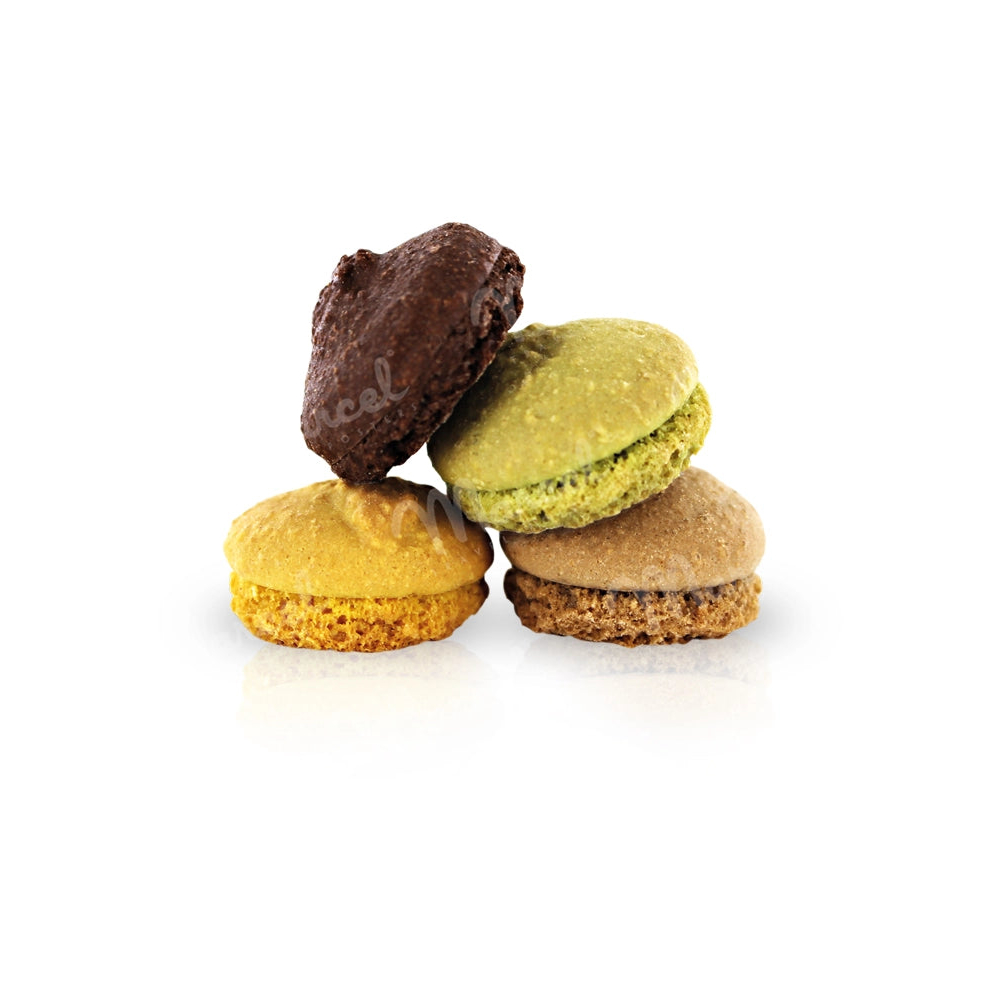 Boîte Métal “Notre Dame De Paris” | Sacré Marcel